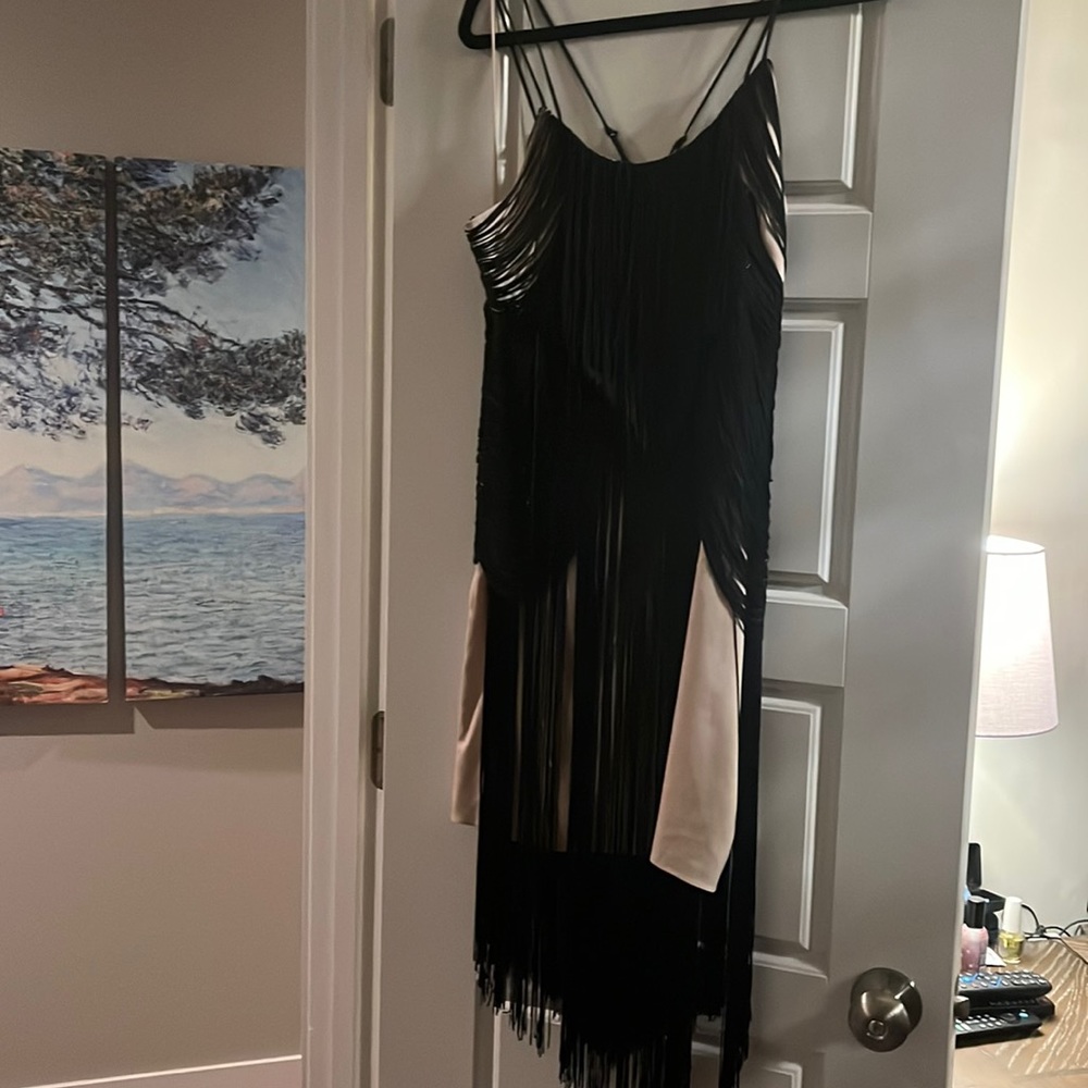 HAUTE HIPPIE DRESS, NWOT